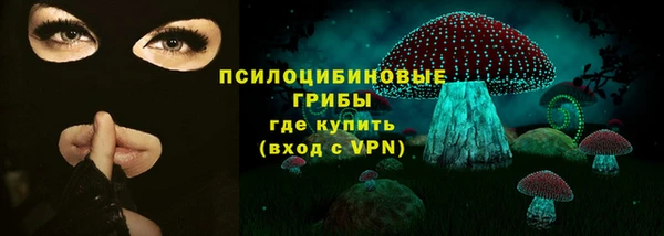 прущий лед Алексин