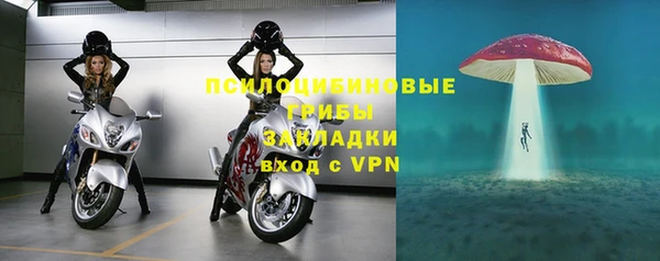 дживик Алзамай