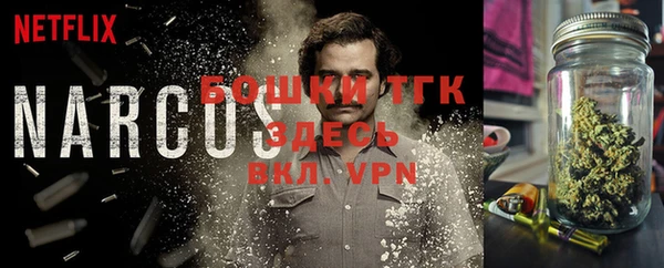 прущий лед Алексин