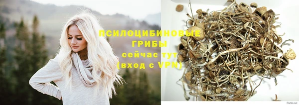 прущий лед Алексин